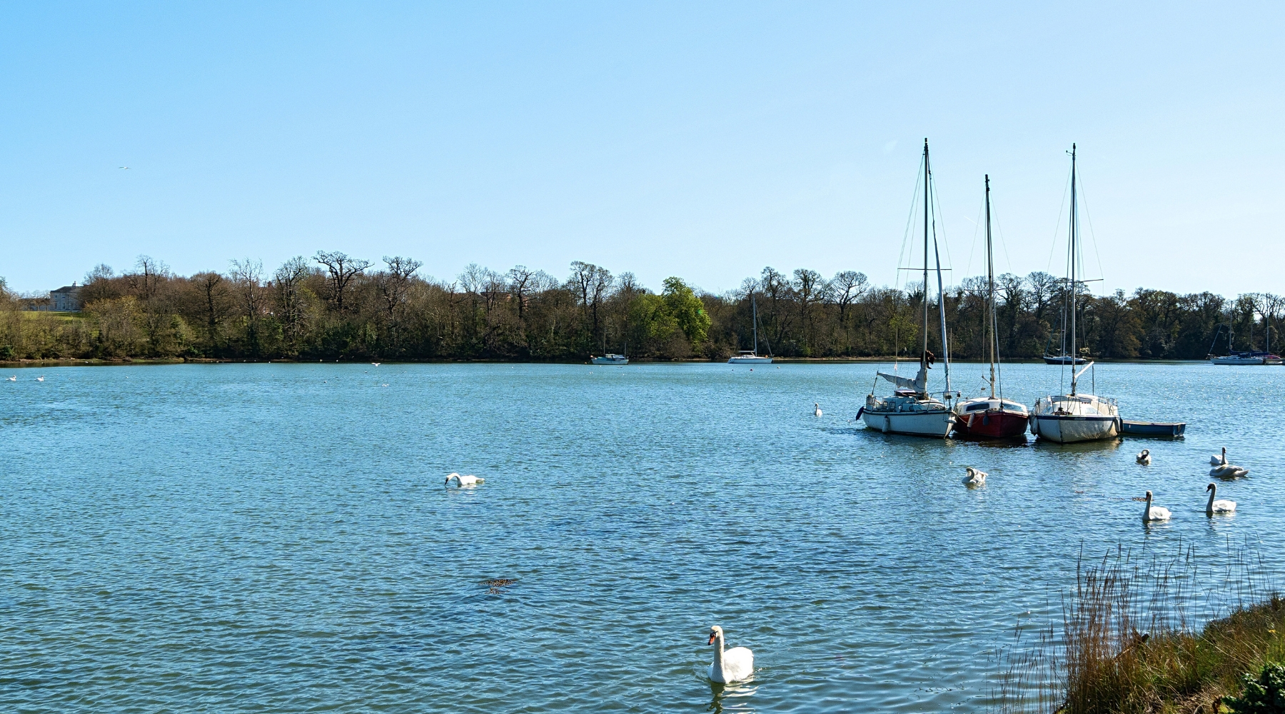 Guide to Fareham