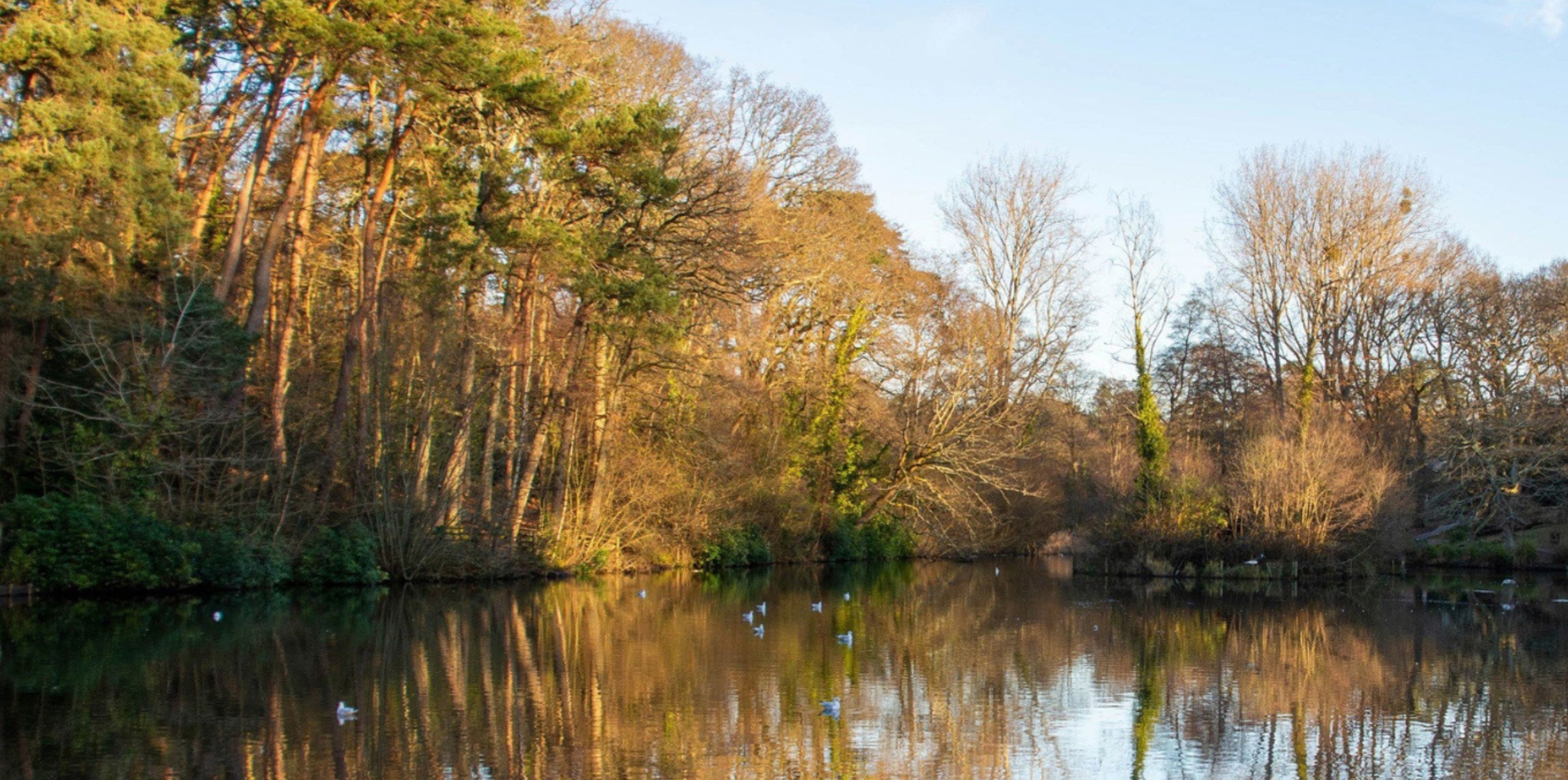 Guide to Chandler's Ford