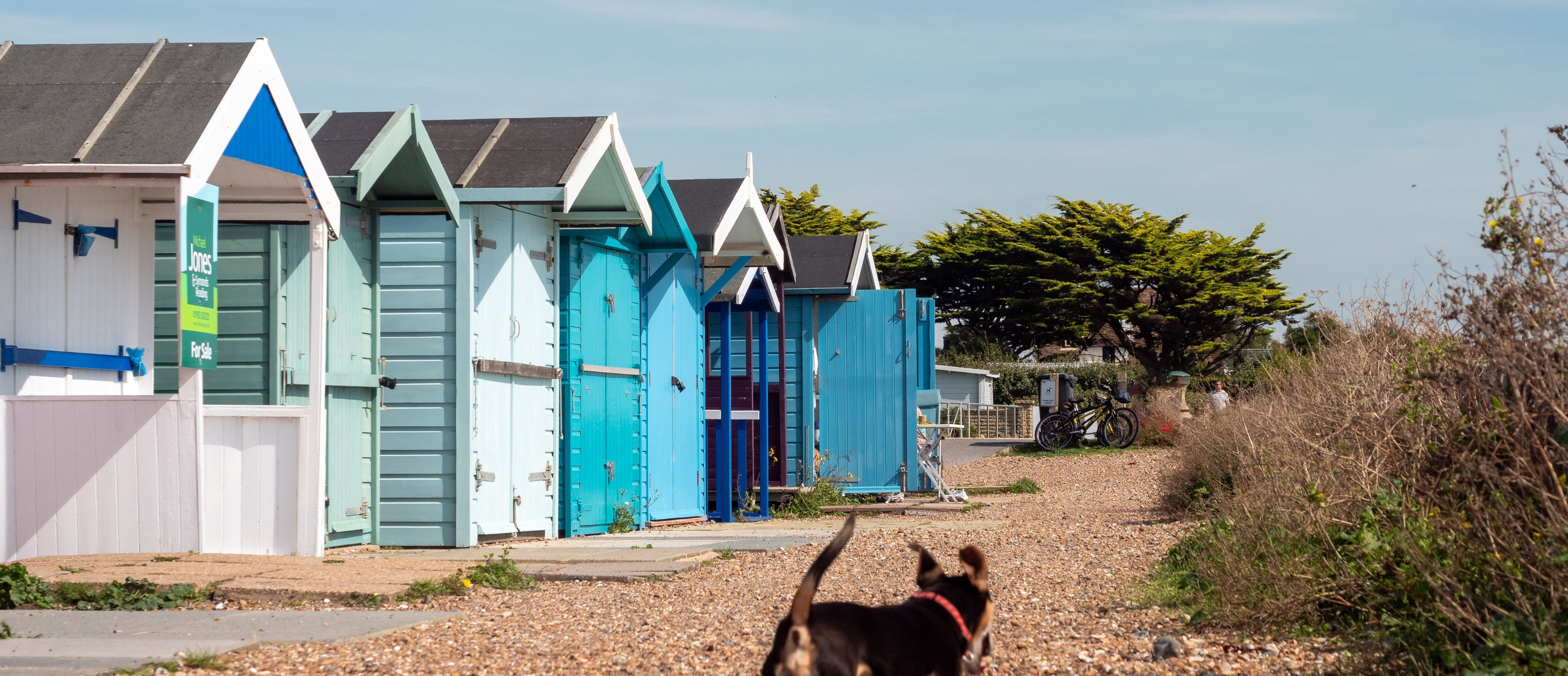 Guide to Ferring