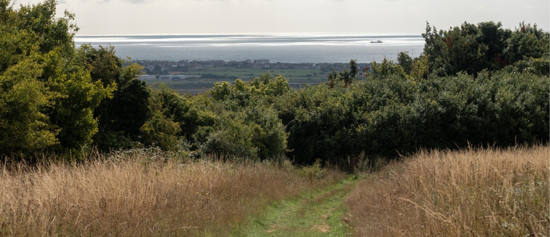 Lancing Estate Agents