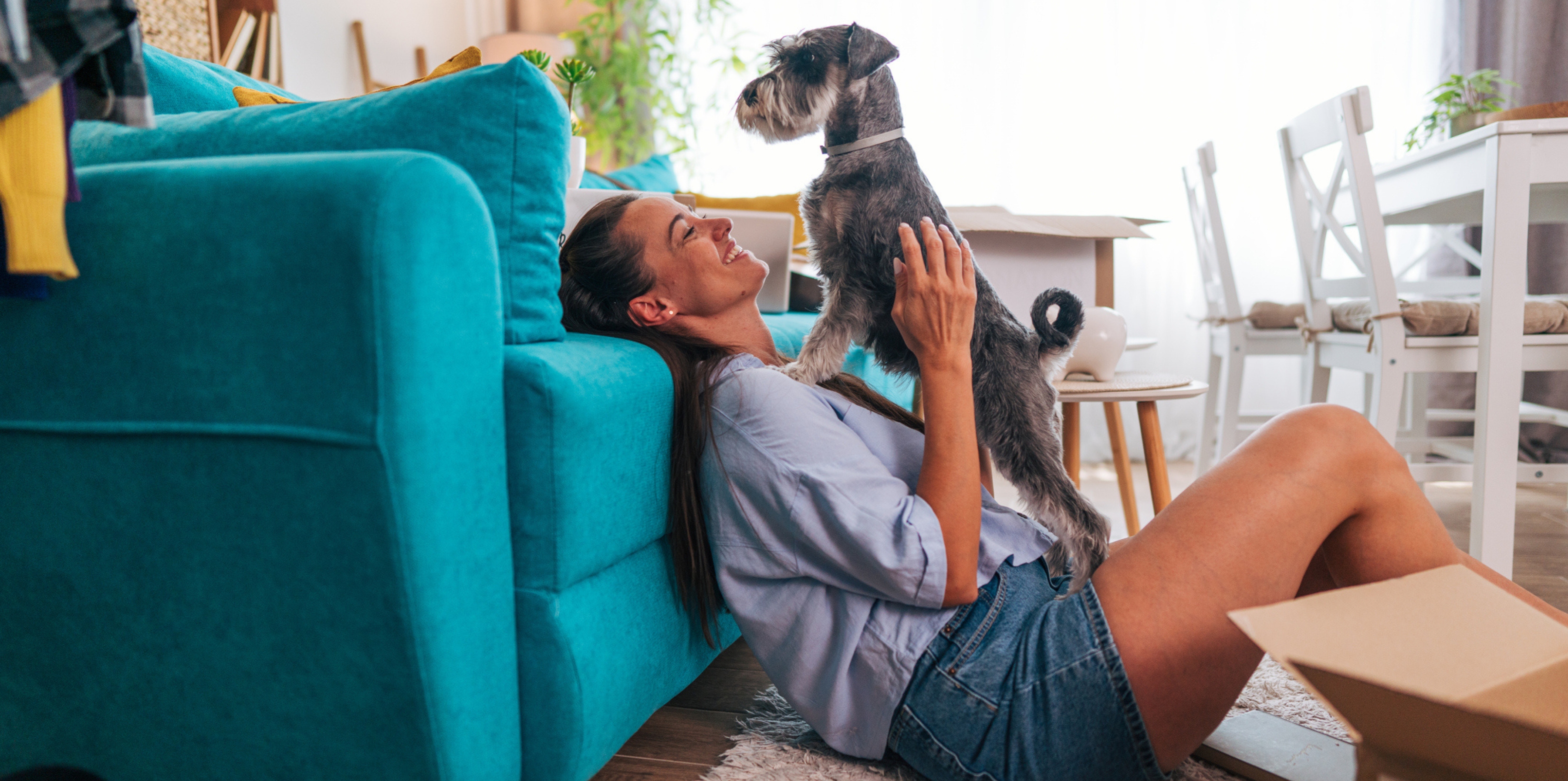 Pets in Rented Properties: What "Reasonable Refusal" Really Means