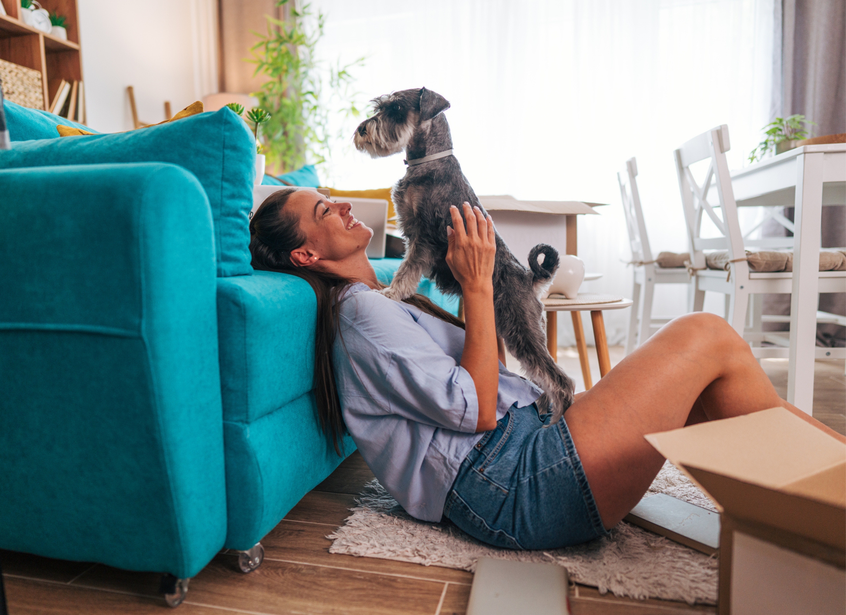 The right to request pets under the Renters’ Rights Act 