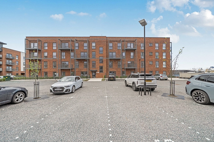 1 bedroom apartment to rent