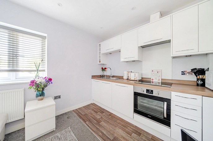 1 bedroom apartment to rent