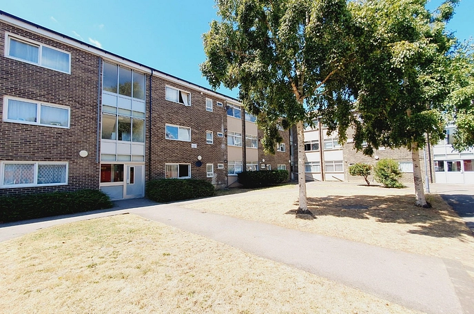 3 bedroom apartment to rent