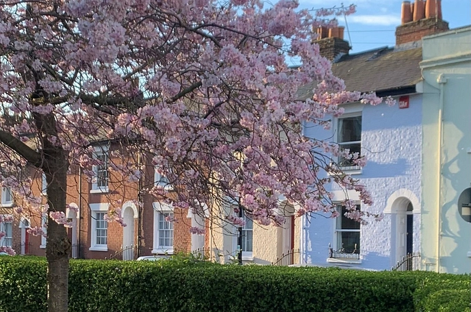 3 bedroom  terraced property for sale
