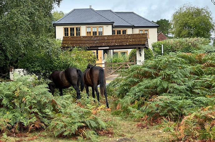 4 bedroom  detached house for sale