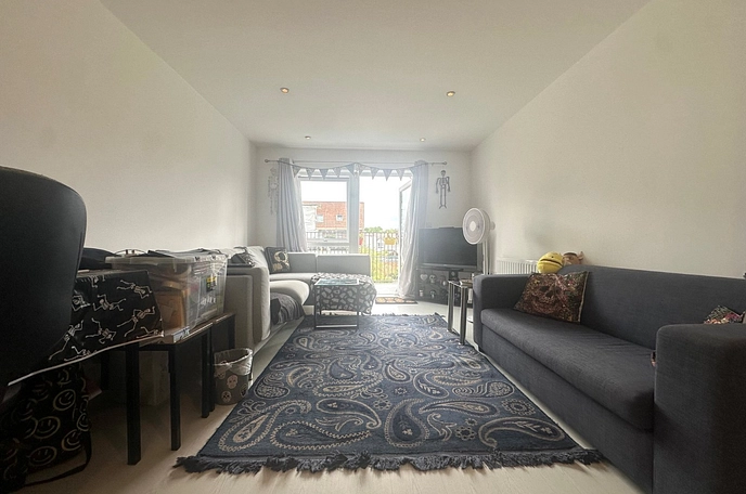 1 bedroom apartment to rent