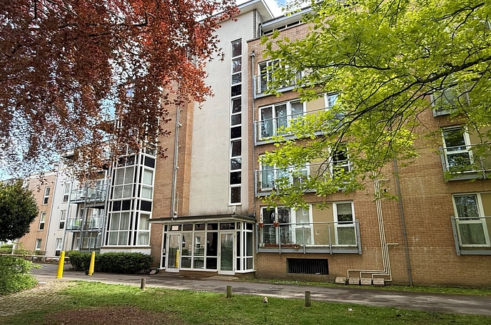 1 bedroom apartment to rent