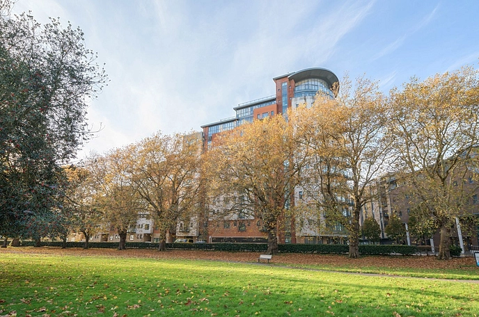 2 bedroom penthouse to rent