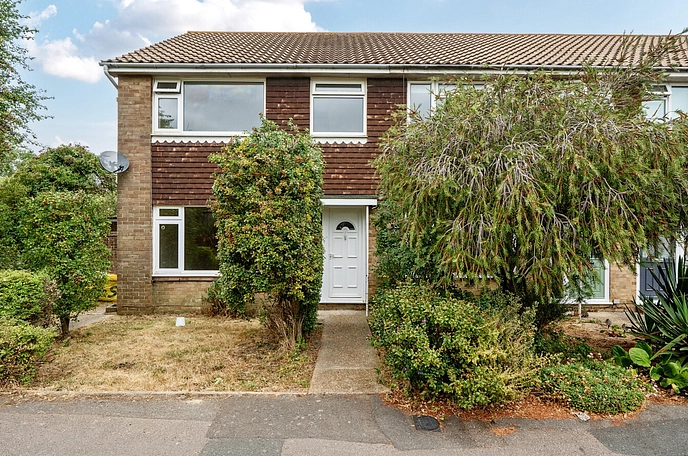 3 bedroom house to rent