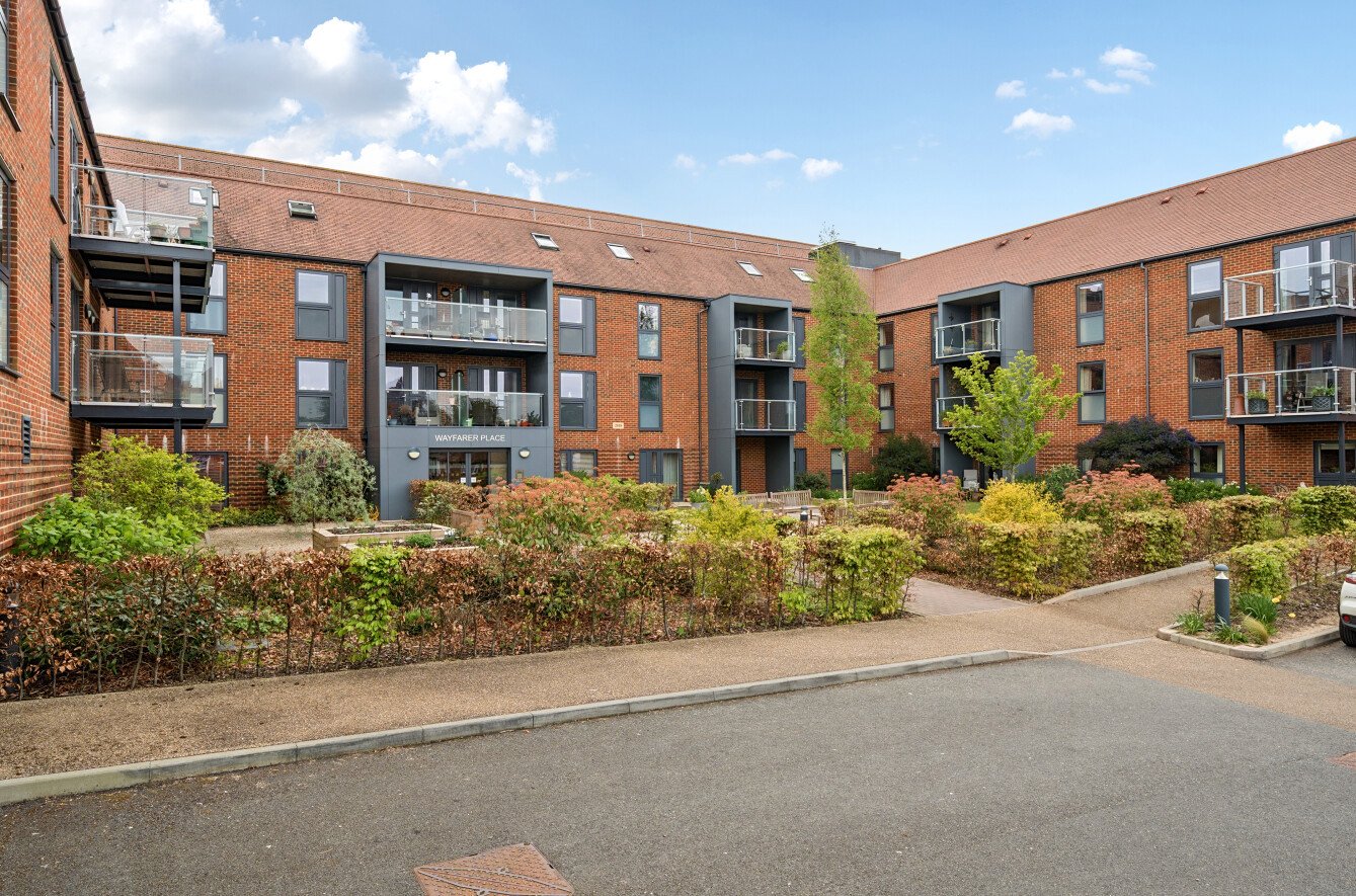 1 bedroom apartment to rent