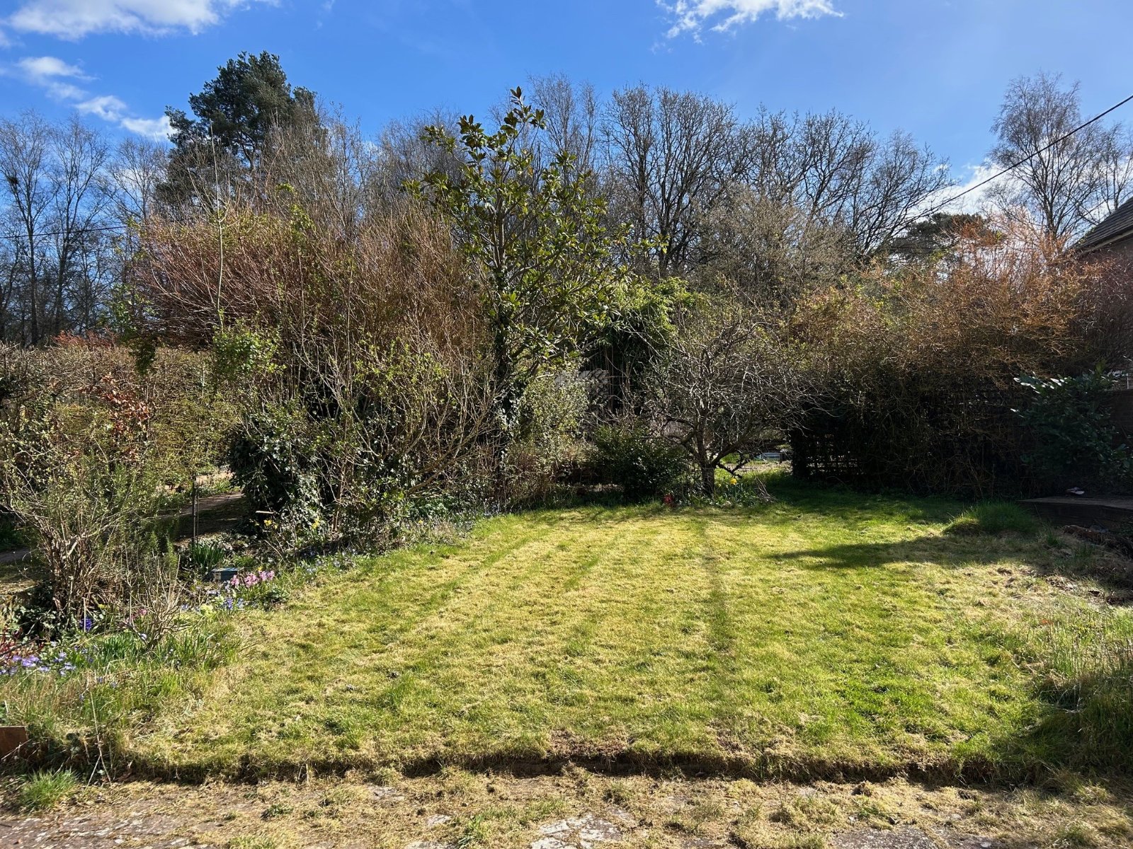 3 bedroom  detached house for sale