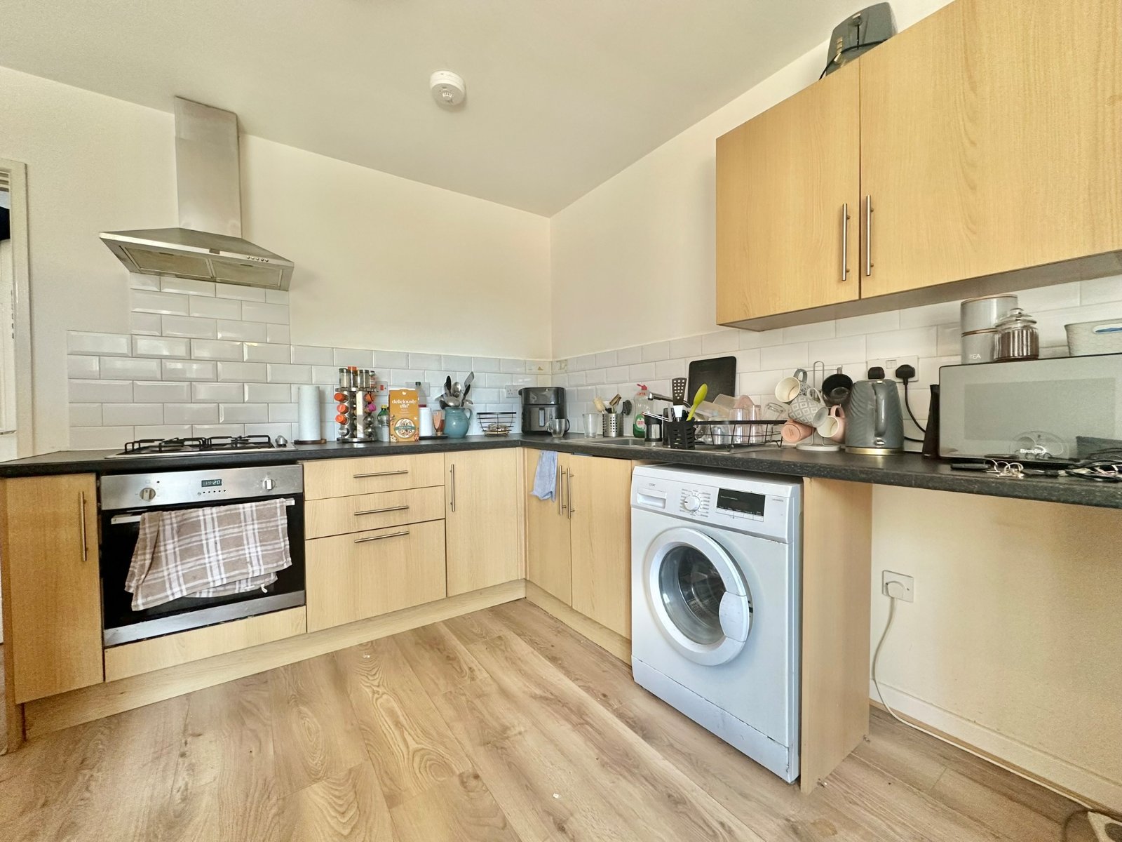 1 bedroom apartment to rent