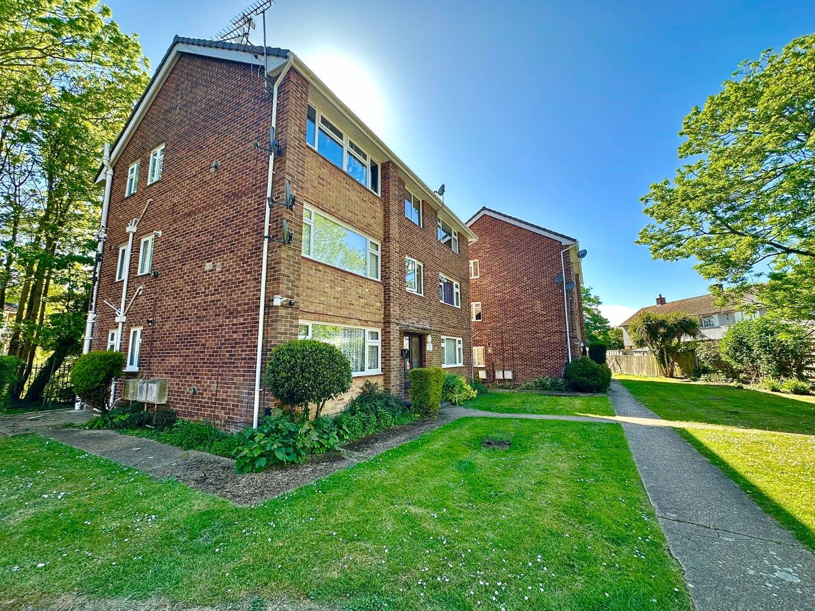 1 bedroom apartment to rent