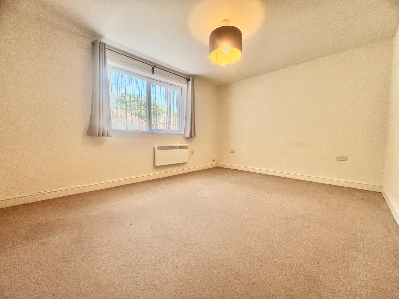 1 bedroom apartment to rent