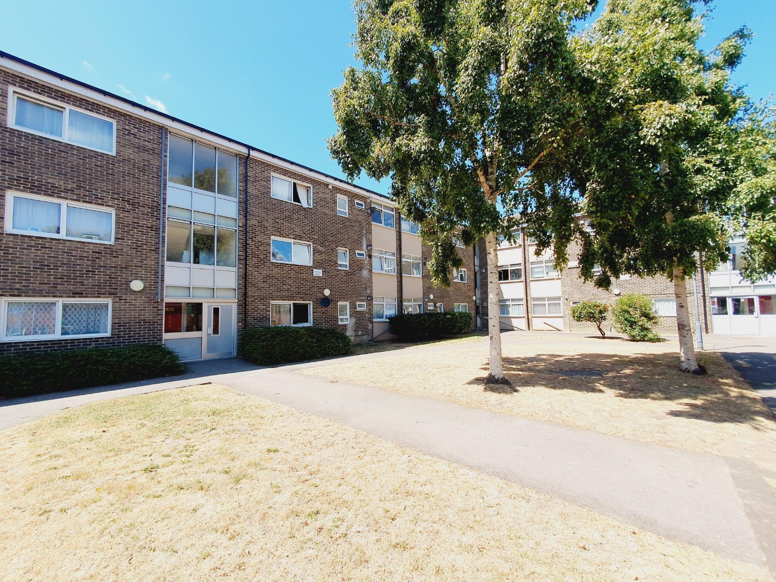 3 bedroom apartment to rent