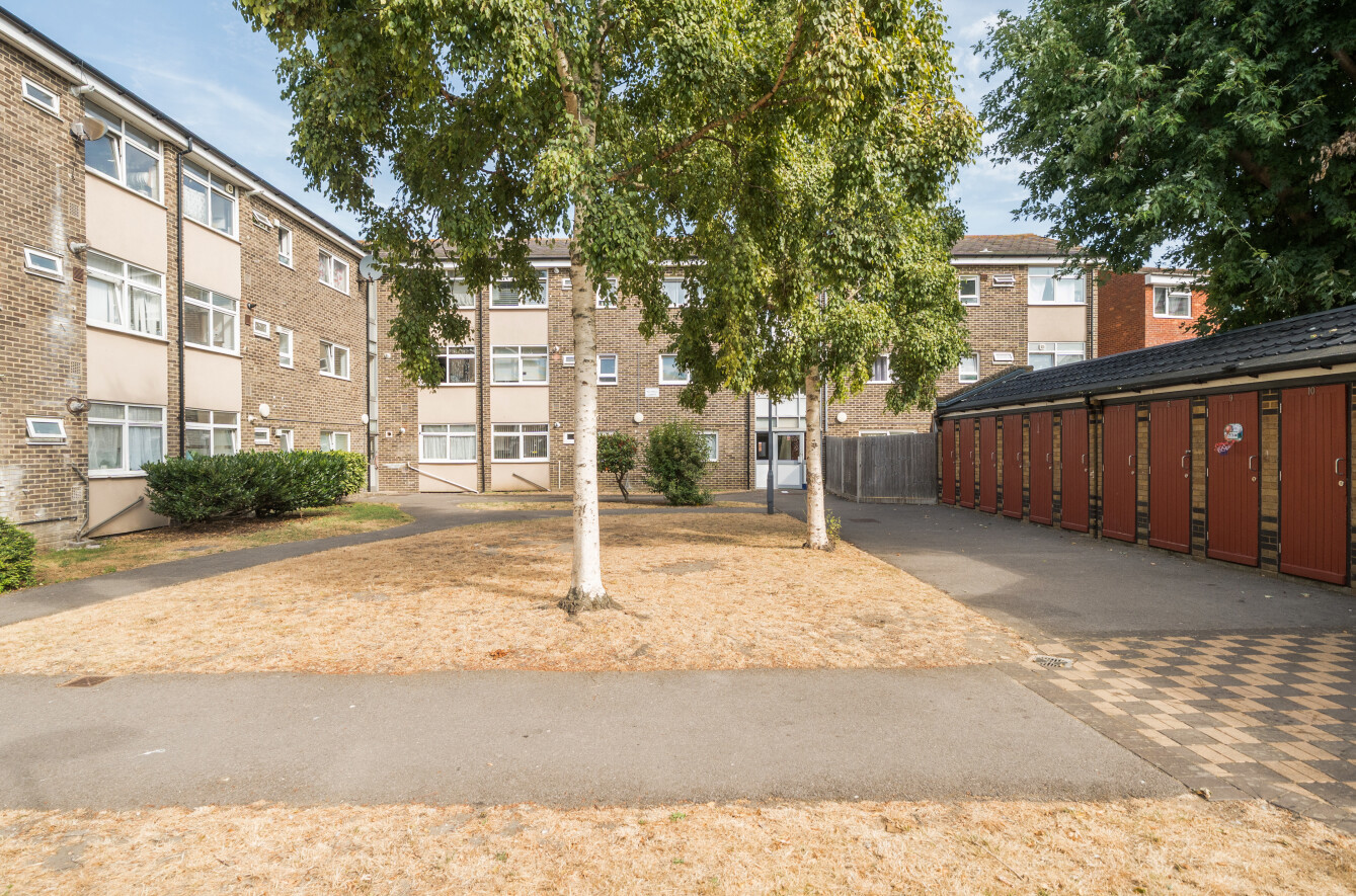 3 bedroom apartment to rent