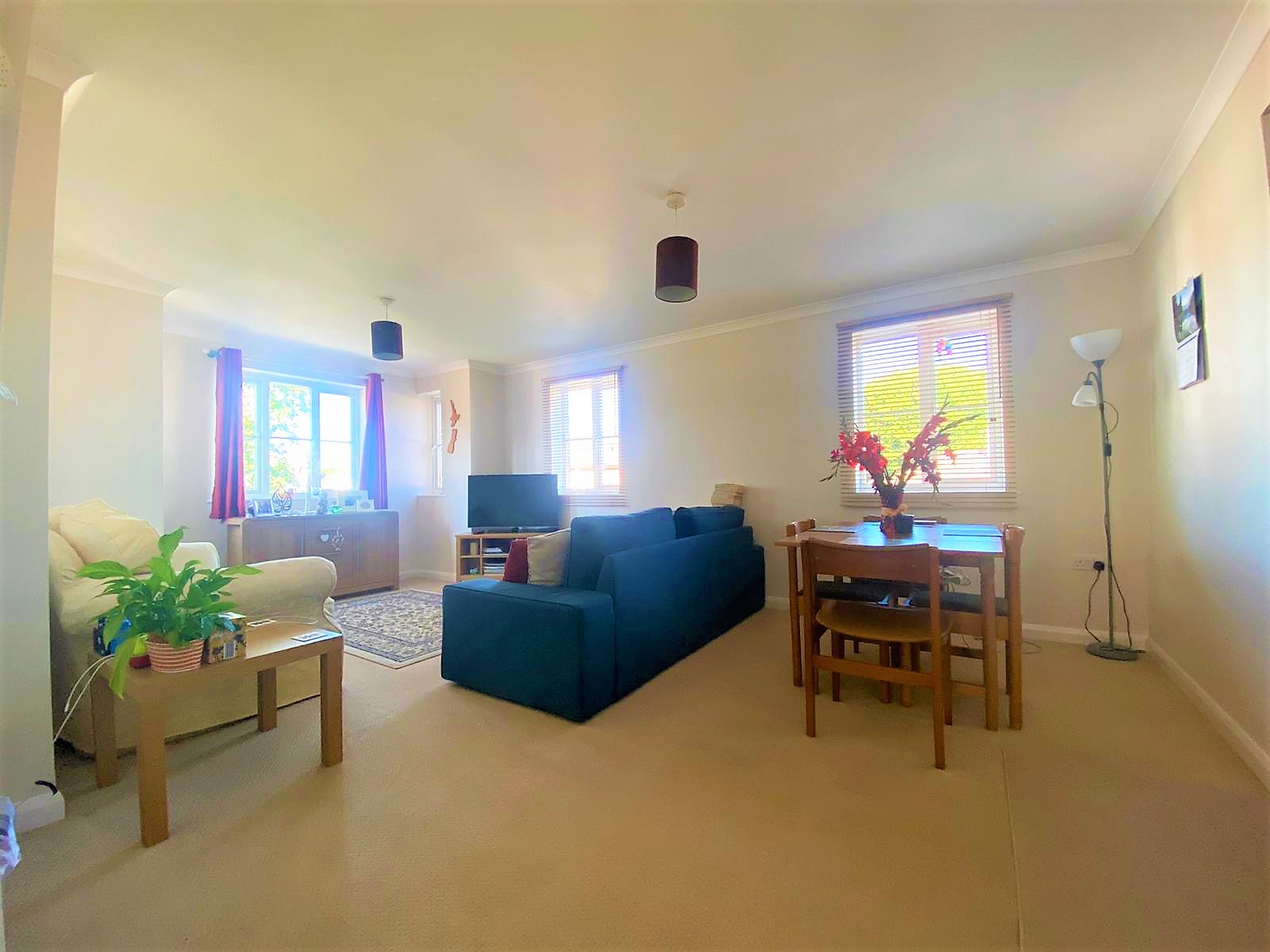 2 bedroom apartment to rent