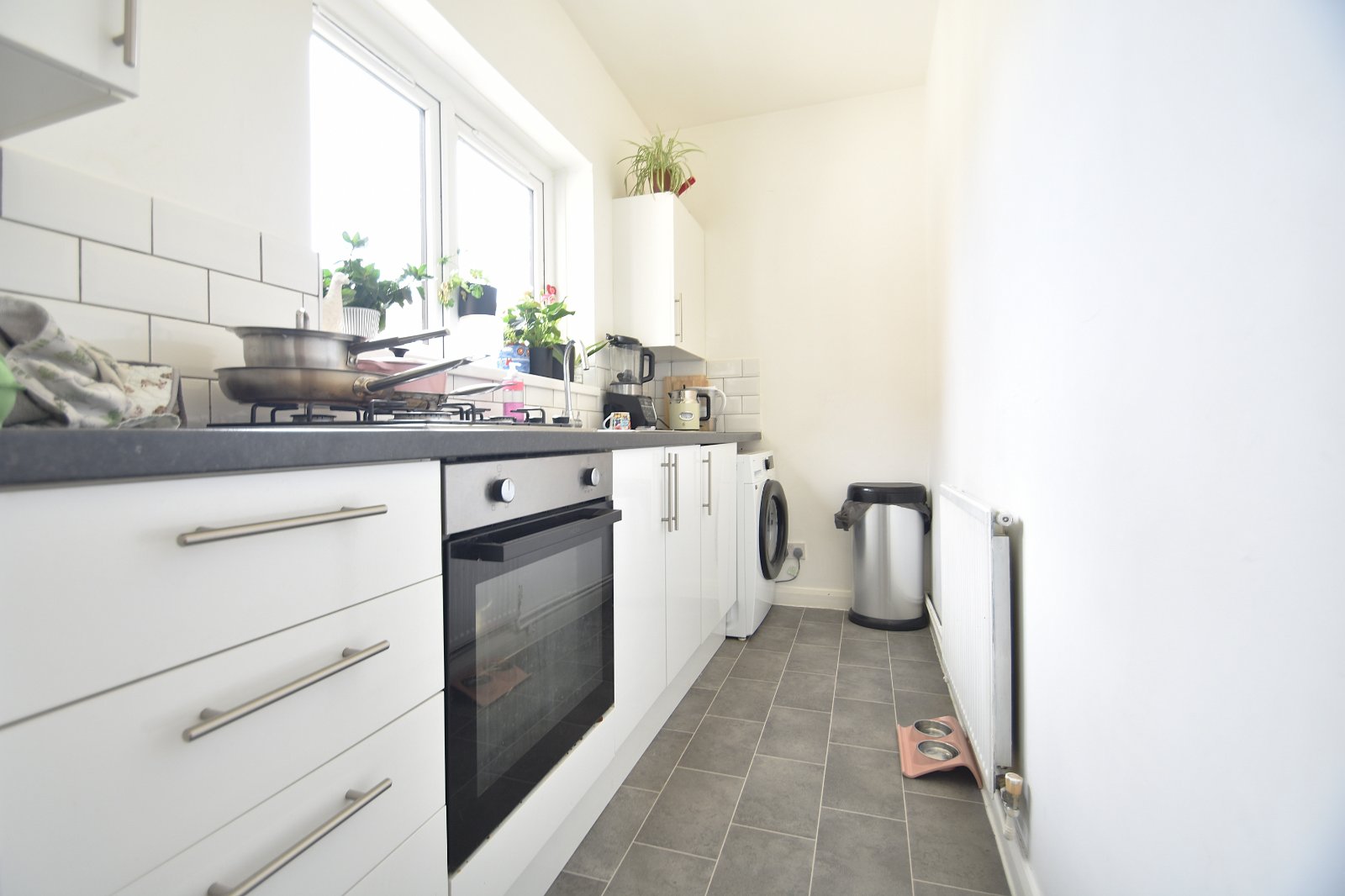1 bedroom apartment to rent
