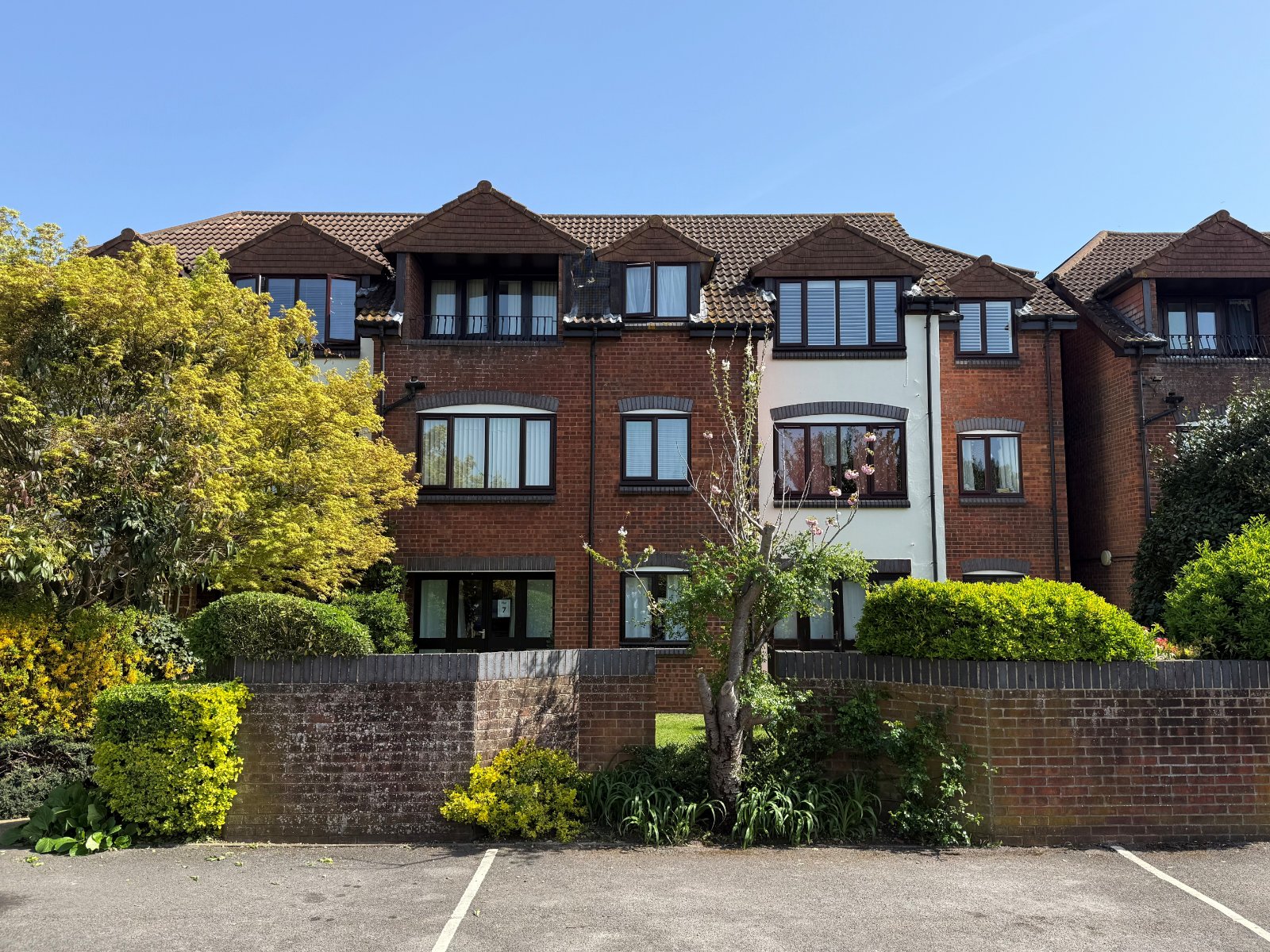 1 bedroom apartment to rent