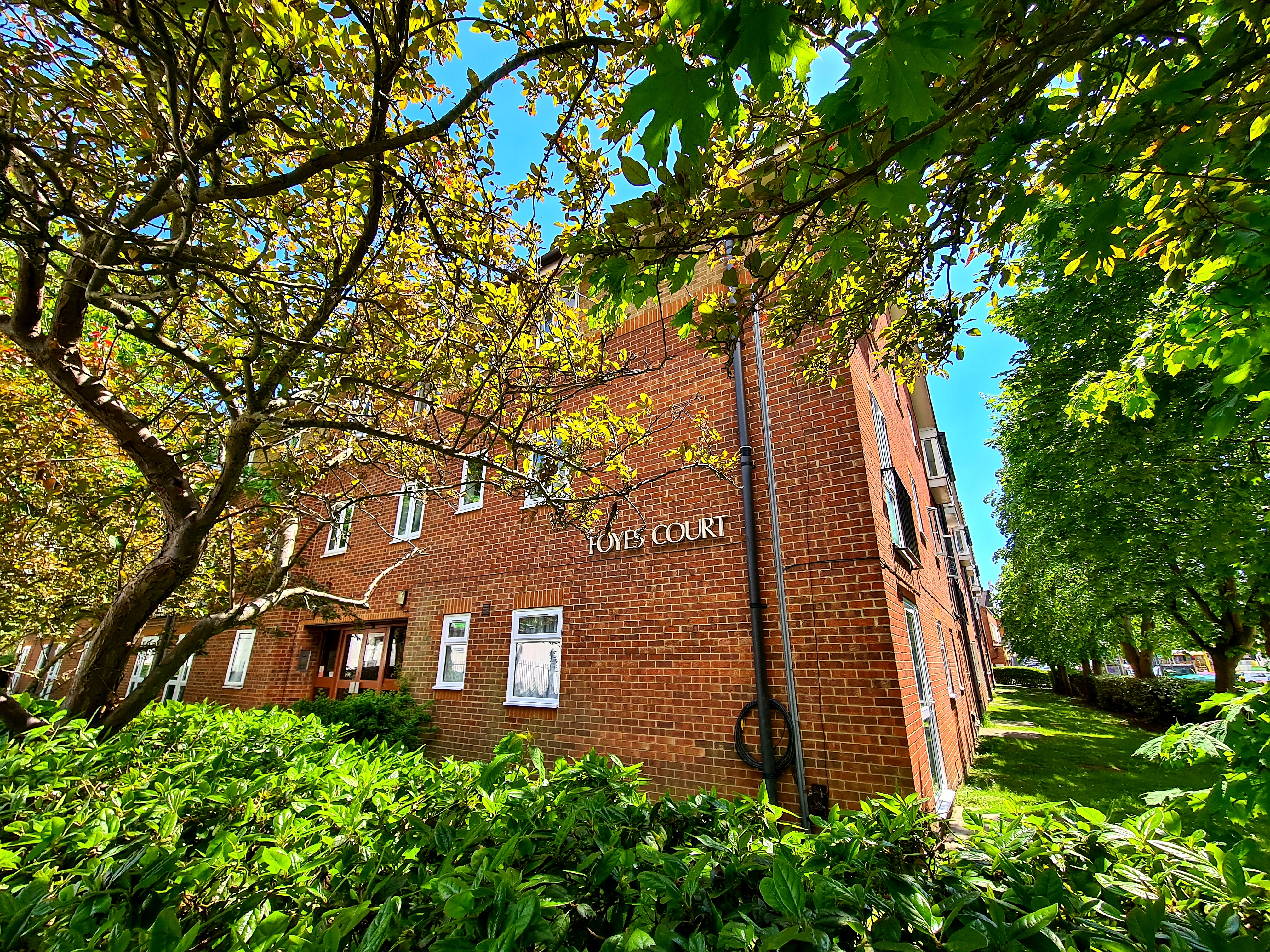 1 bedroom apartment to rent