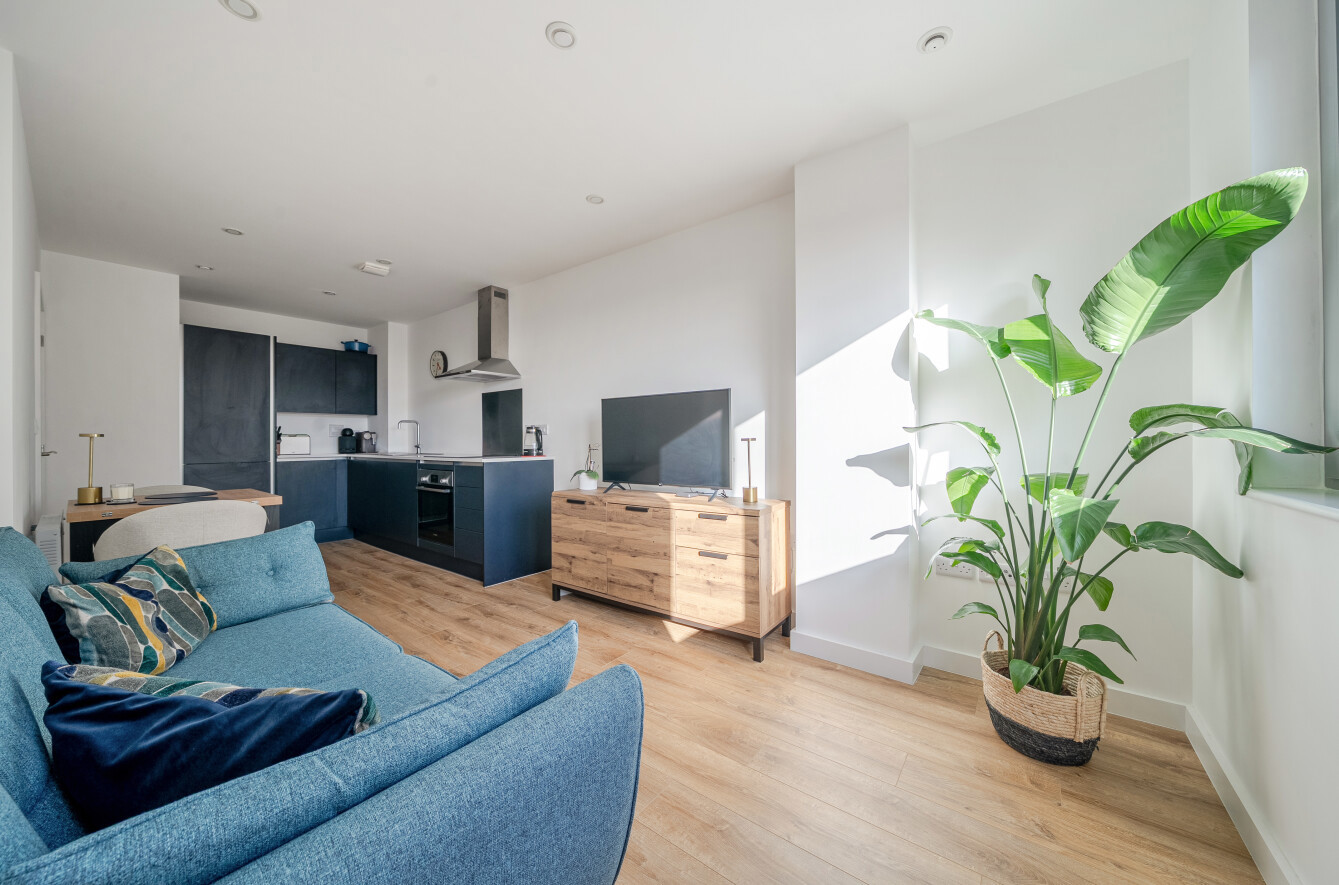 1 bedroom apartment for sale