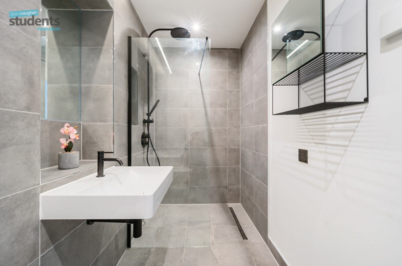 1 bedroom studio apartment to rent