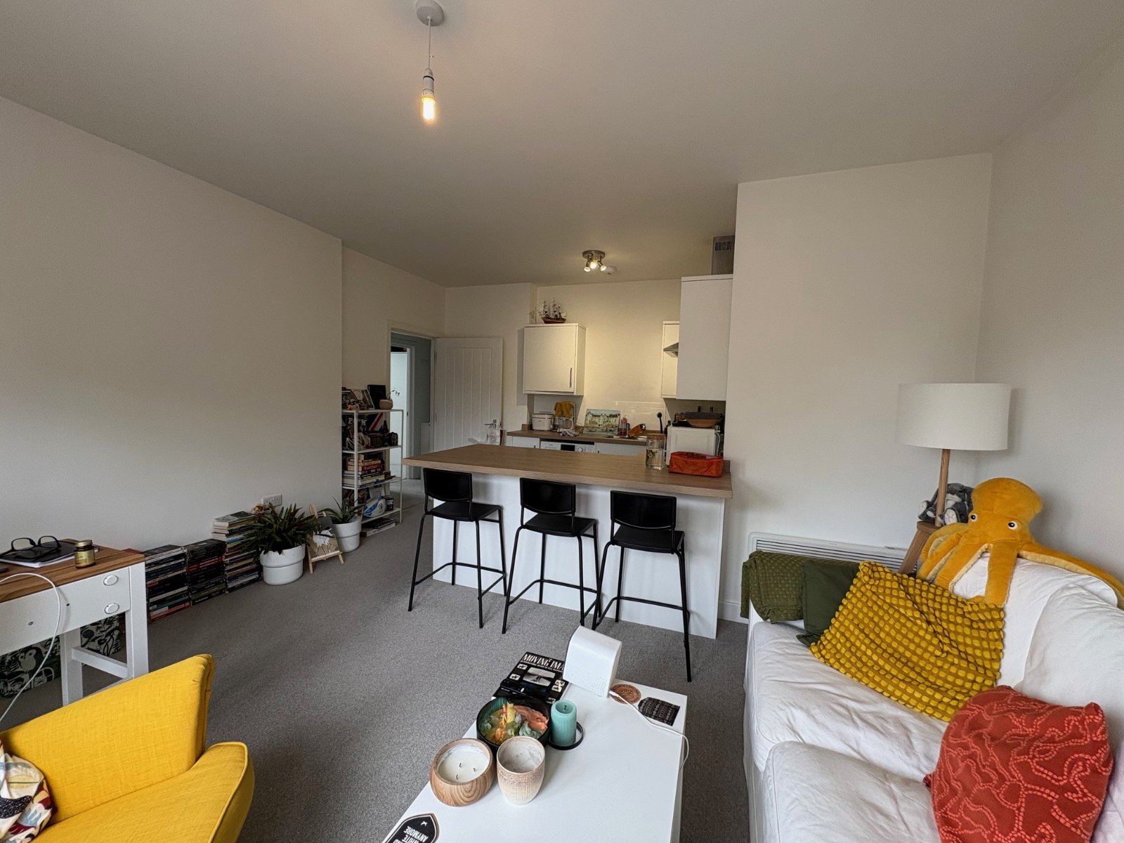 2 bedroom apartment to rent