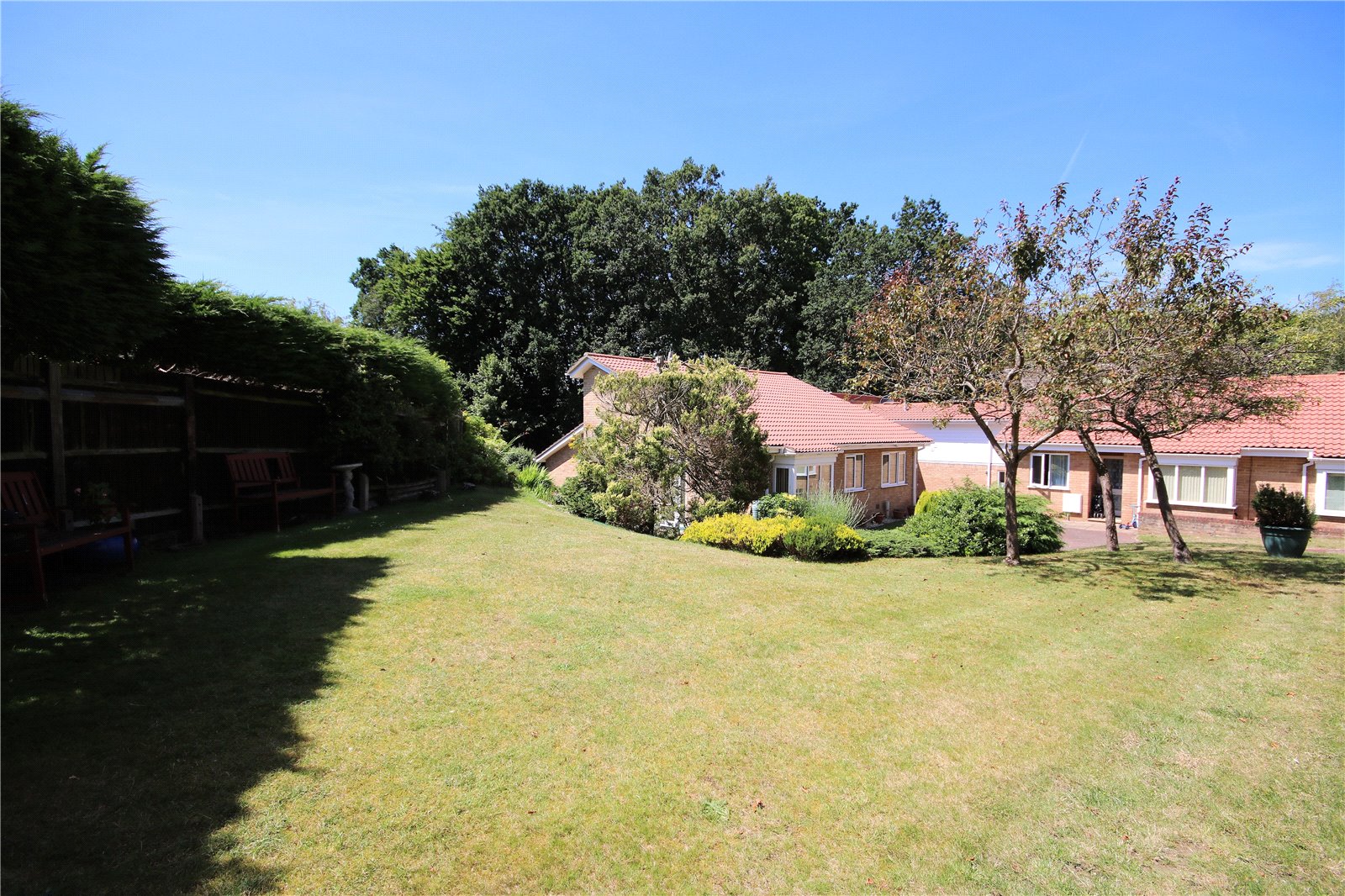 2 bedroom apartment to rent