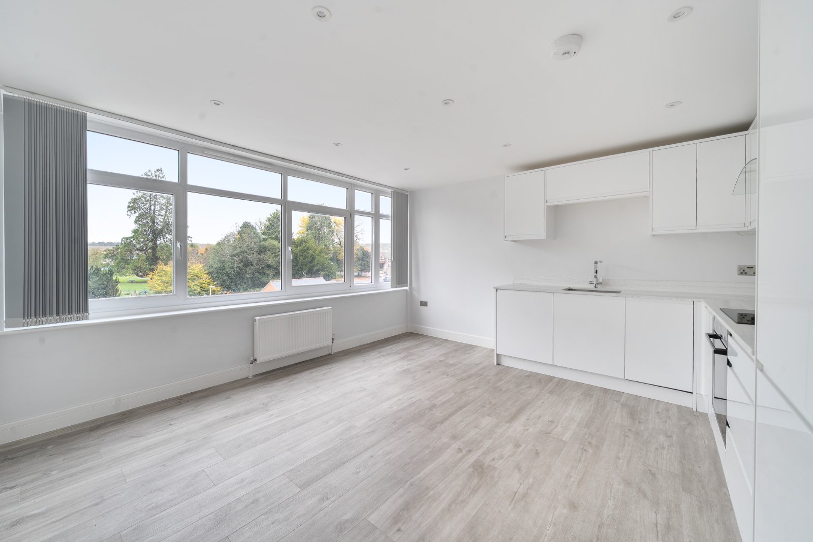 1 bedroom apartment to rent
