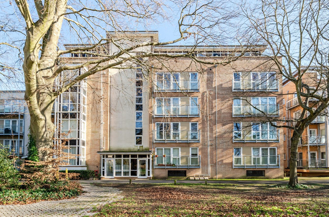 1 bedroom studio apartment to rent