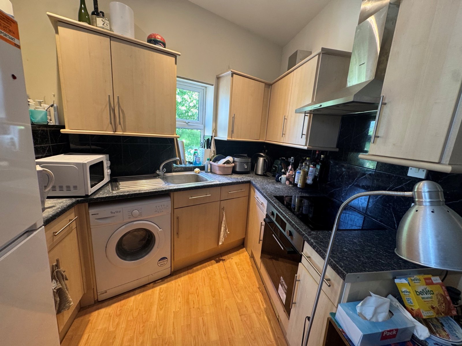 1 bedroom apartment to rent