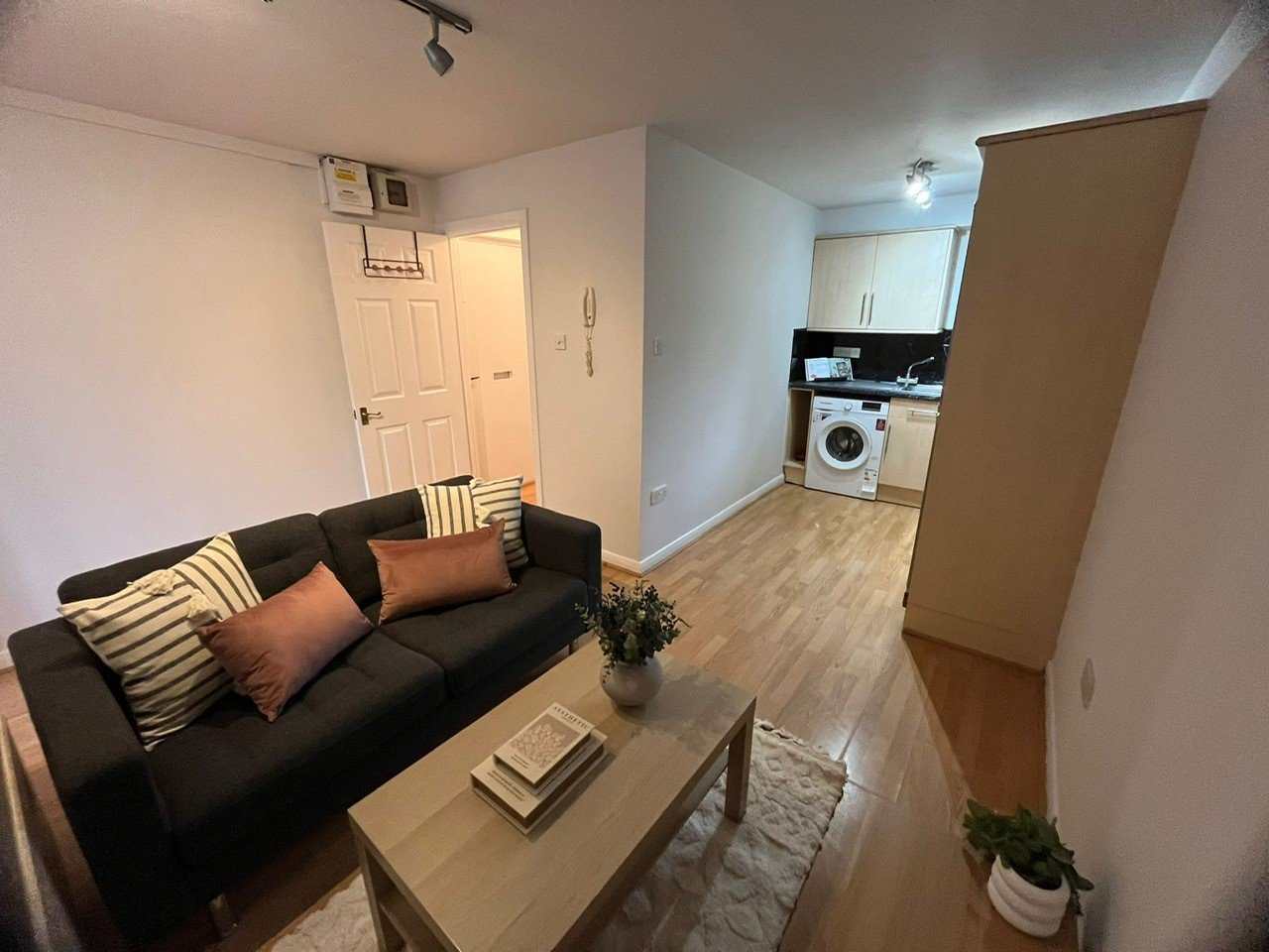 1 bedroom apartment to rent