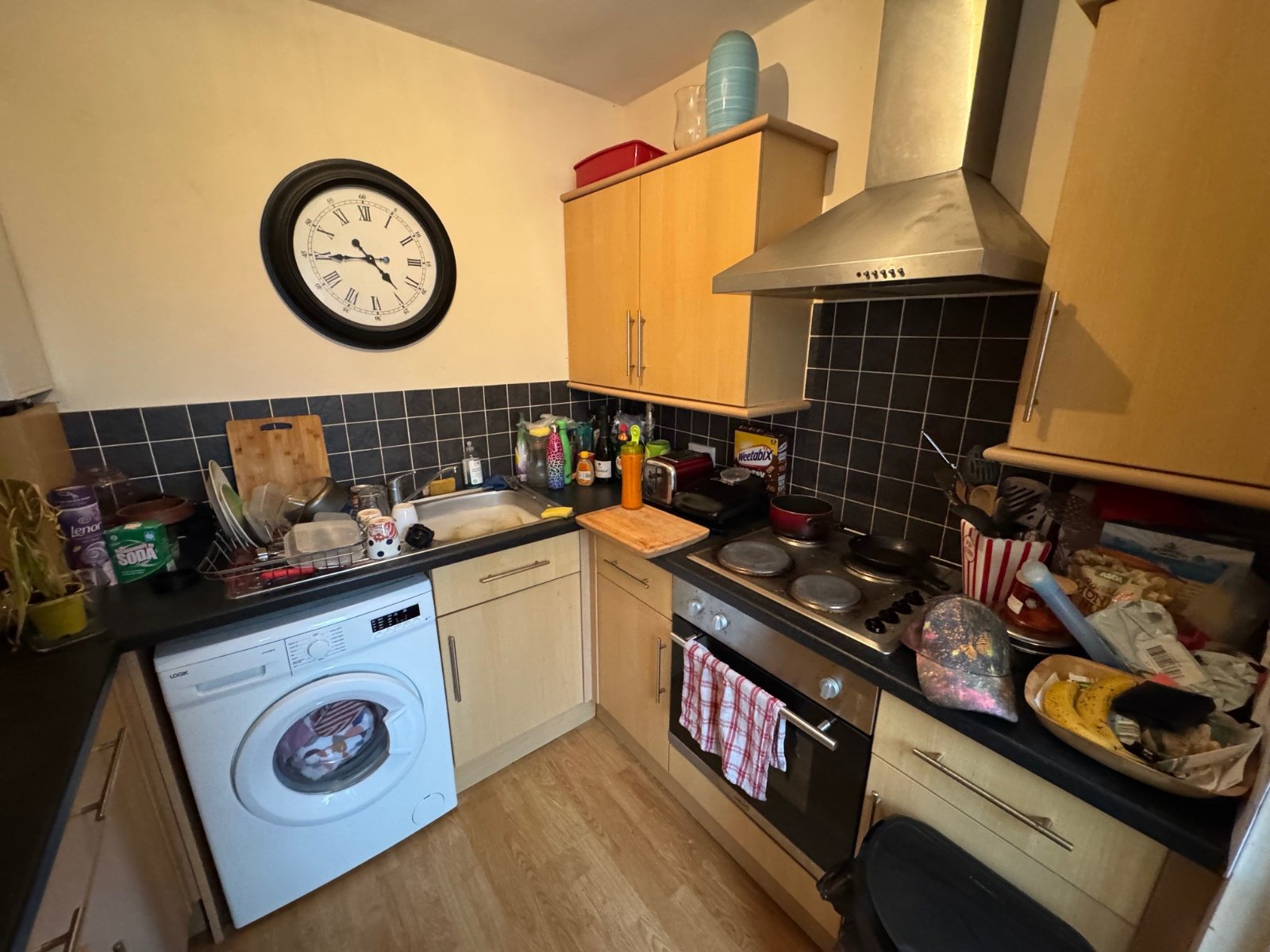 1 bedroom apartment to rent