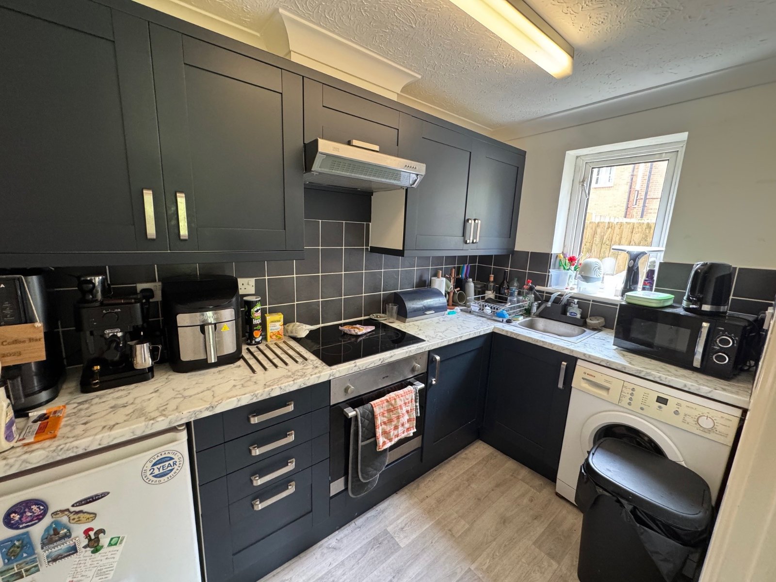 1 bedroom apartment to rent