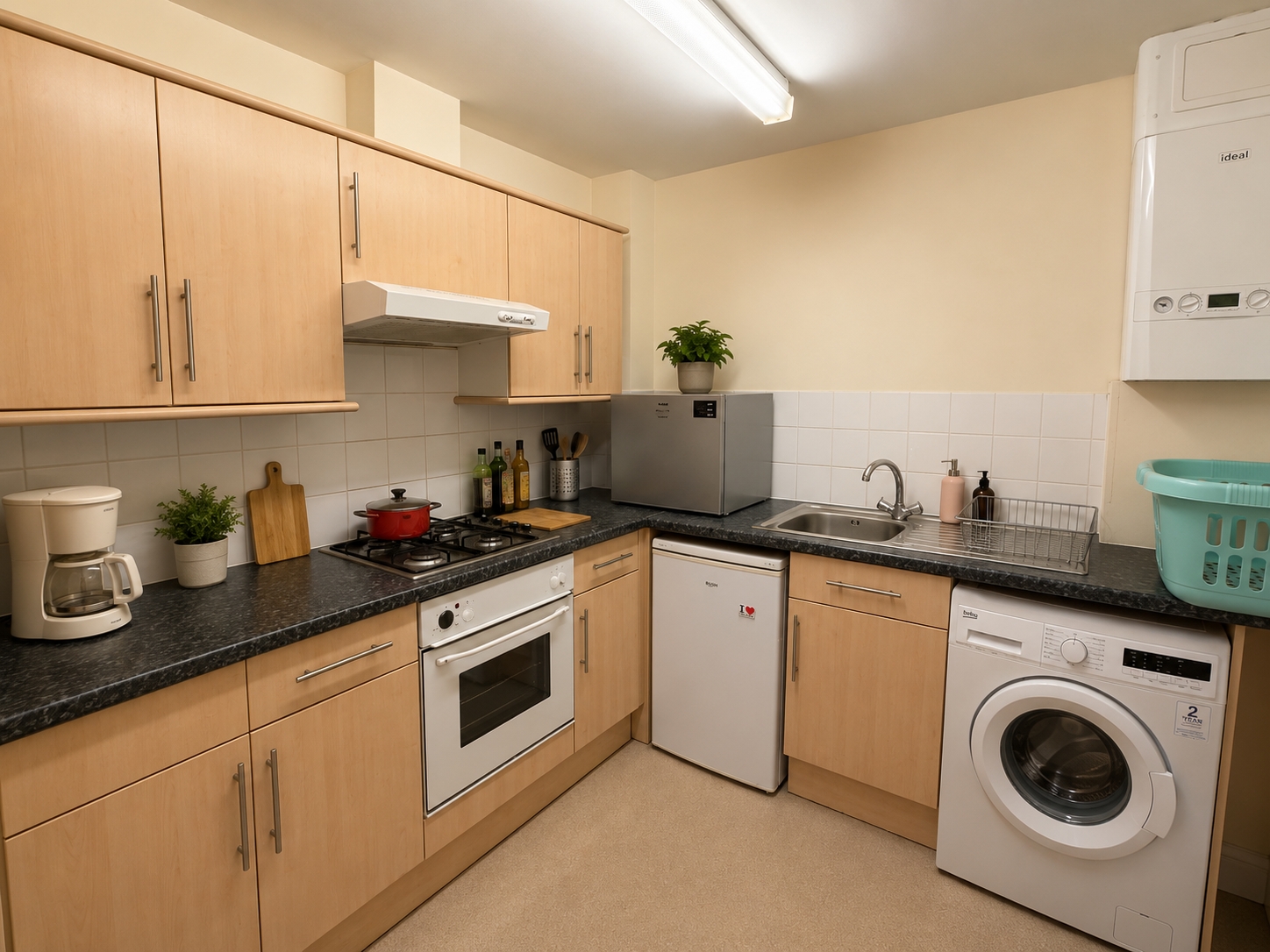 1 bedroom apartment to rent
