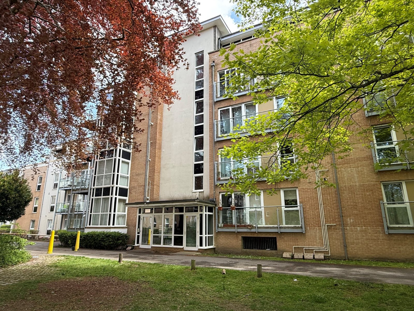1 bedroom apartment to rent