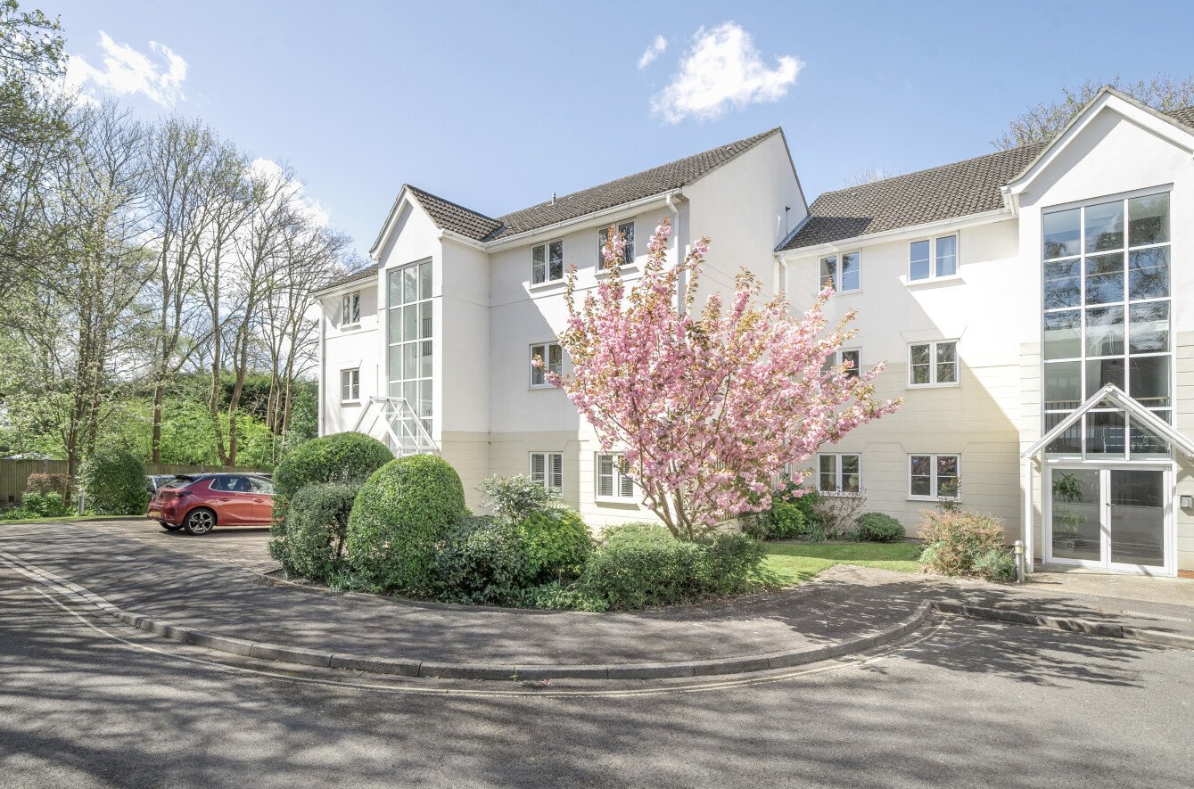 2 bedroom apartment to rent